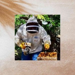 Bee Experience op Aruba